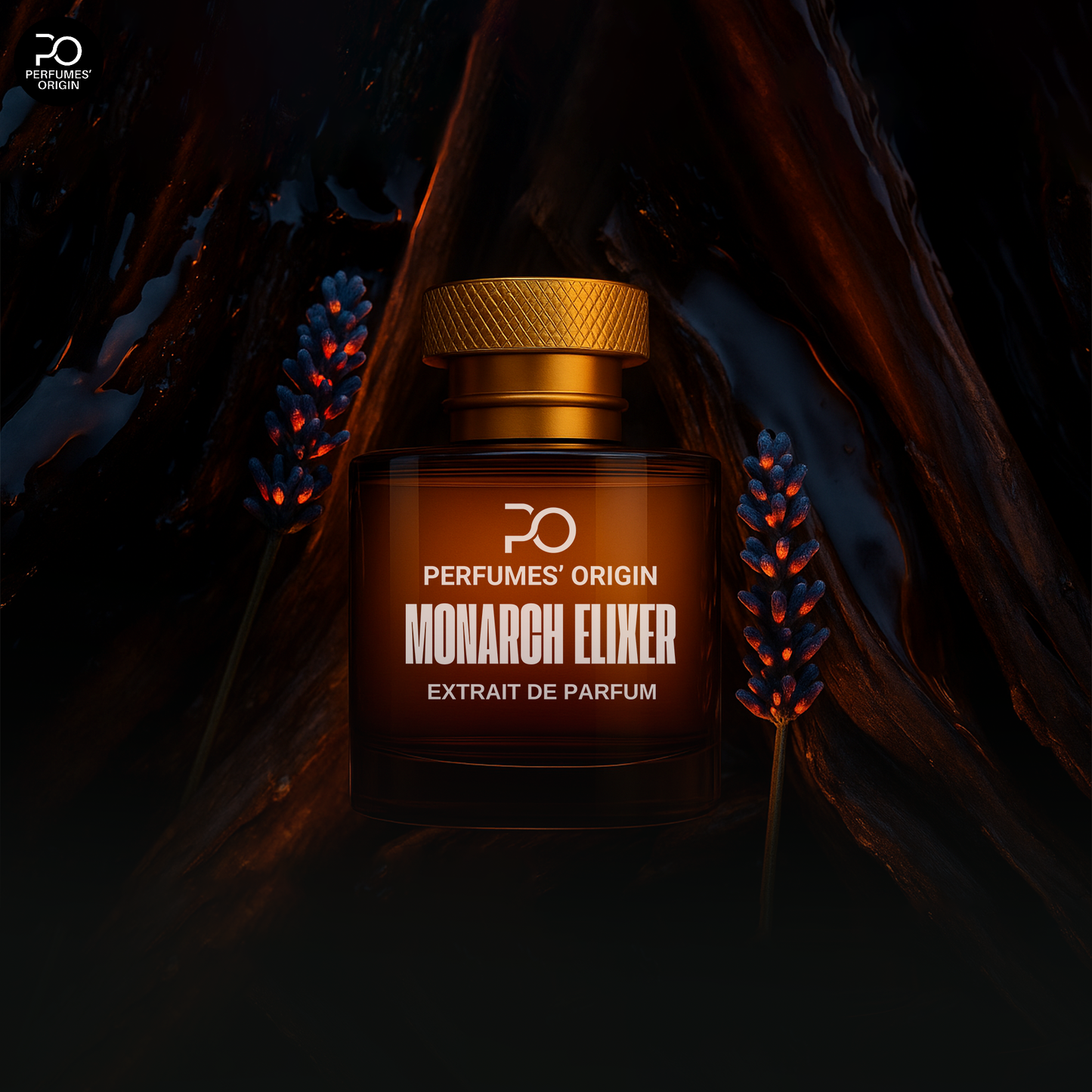 Monarch Elixer